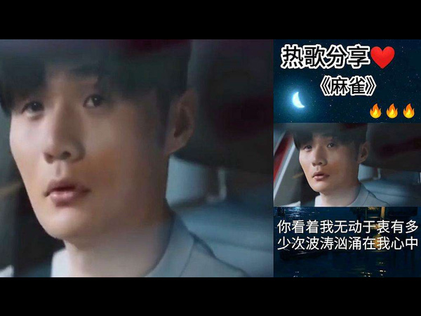 ������ȸ