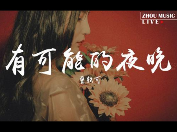 �п��ܵ�ҹ��