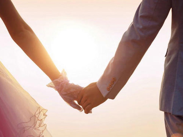 ��Ҫ��������