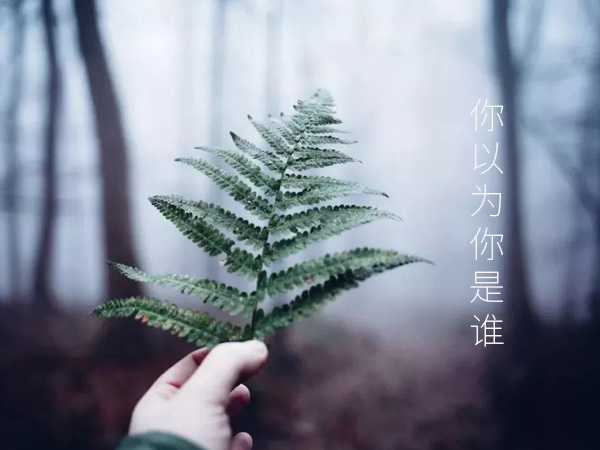 ����Ϊ����˭