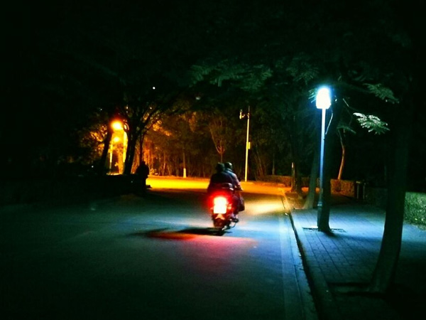 ��Ҳ��������������