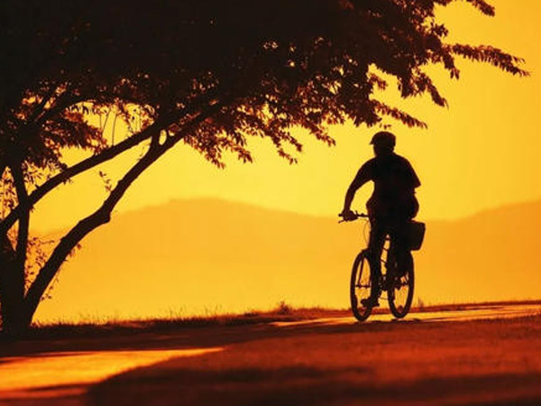 ���������ﵽ����ʲô