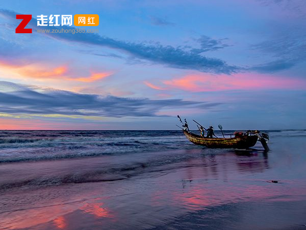 �紵����Ƭ��