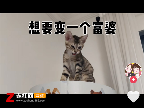 ����֮��