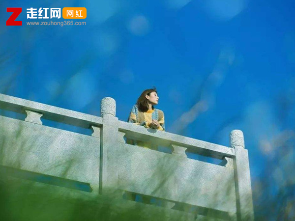 ����õ����