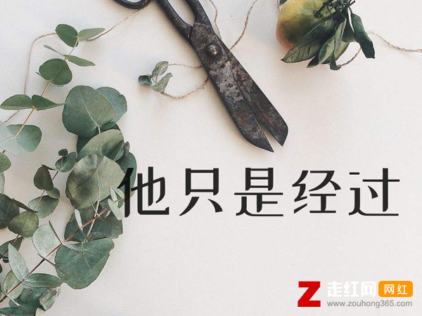 ��ֻ�Ǿ���