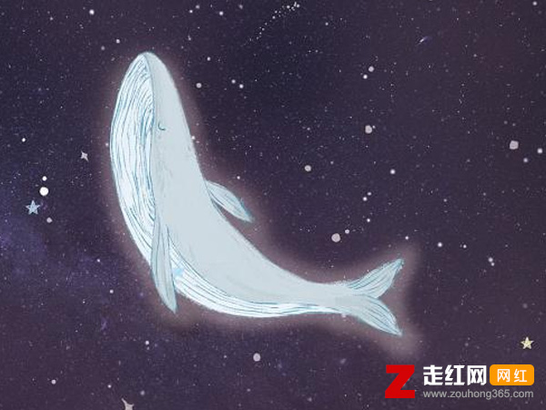 ����һֻ��