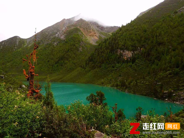 ɽ��������С����û��ů������ʲô��