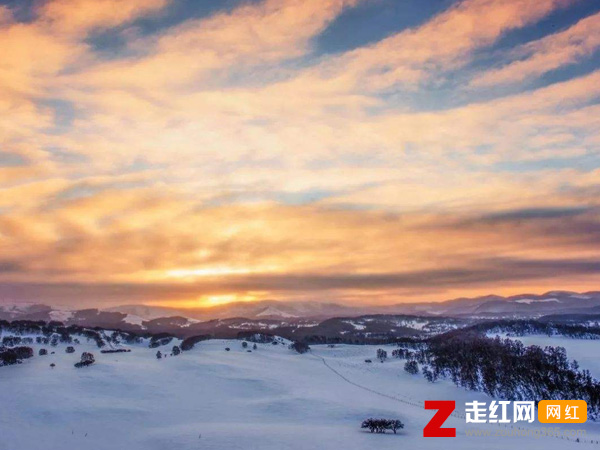 վ�ڶ���������