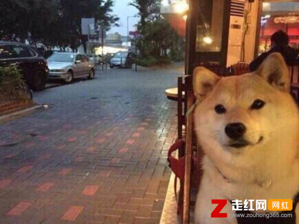 �㵥����ԭ��