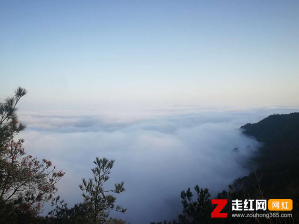 ���֪��