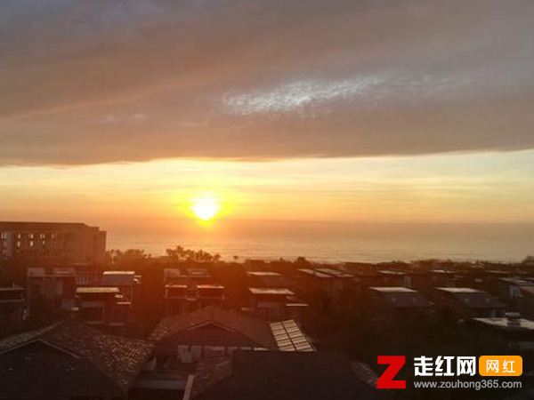 �Ҷ�����