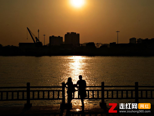 ������˲��