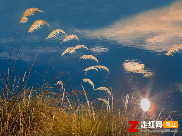 �����ǻ�