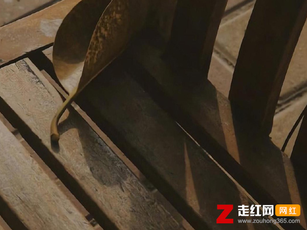 ����֮��