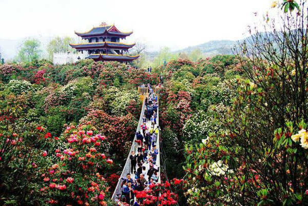 贵州旅游十大景点排名,贵州省十大最受欢迎旅游景点推荐