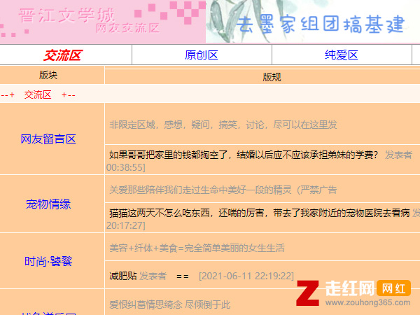 ������ʲô��˼