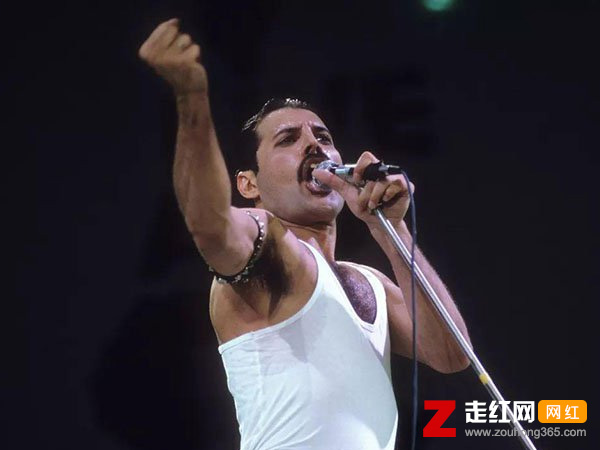 �ʺ��ֶӵ�����