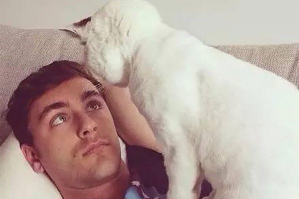 ��è�����˿����� Ϊʲô˵���˲�����è��ʲô���