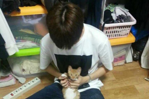 ��è�����˿����� Ϊʲô˵���˲�����è��ʲô���