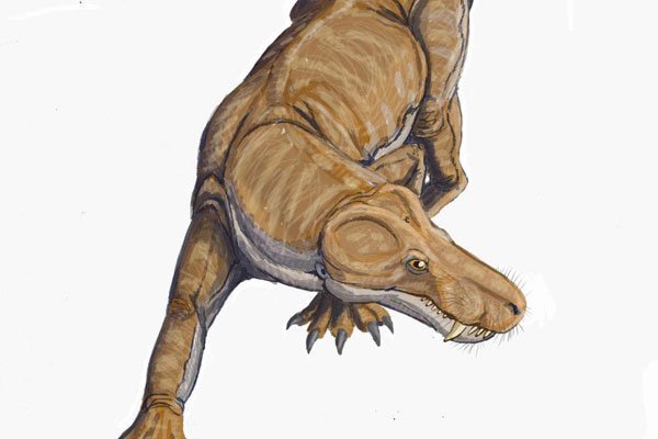 �������޳��޸� Ϊ���Լ����溢��һ�������ٵ�