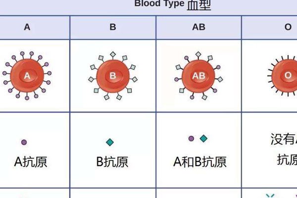 a��Ѫ��o��Ѫ���ĺ��� Ѫ�����߶����в��õ��ĳ���