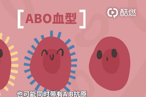 a��Ѫ��o��Ѫ���ĺ��� Ѫ�����߶����в��õ��ĳ���