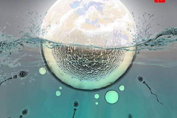 ������ʲô��˼�� ��˾�����������������˶���