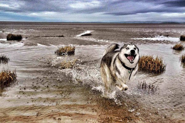 ��ʿ���ЦͼƬ ȫ�����˱Ƚϸ�ЦƽʱҲ����