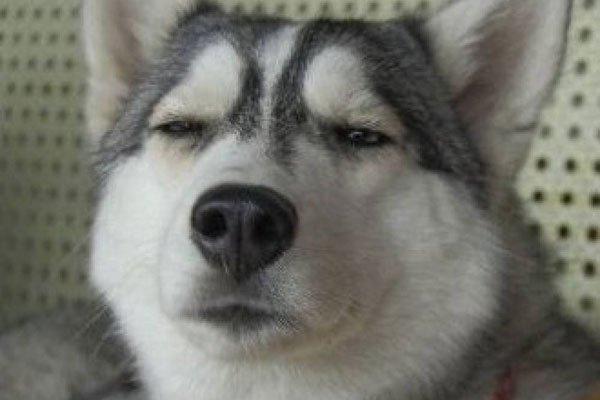 ��ʿ���ЦͼƬ ȫ�����˱Ƚϸ�ЦƽʱҲ����