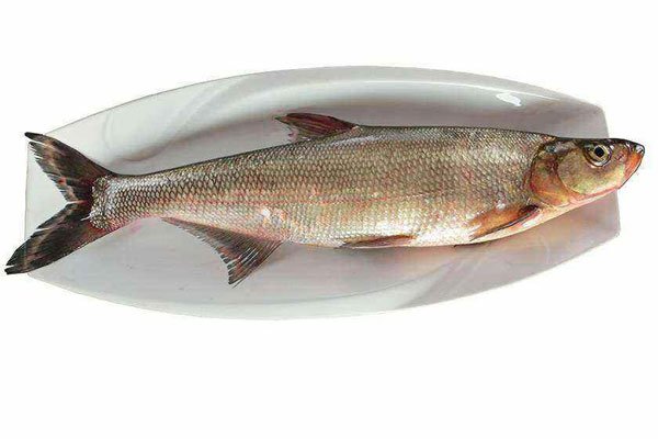 �����ز�����Щ�ɴ��� ��װ������㶼����ֱ�Ӵ�