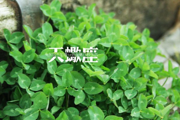 ��׷��Ы�д�� ̫��̫���鶼����ô����