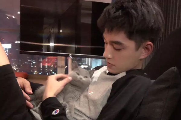 ��׷��Ы�д�� ̫��̫���鶼����ô����