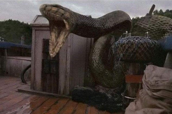 1983年蛇灾到底有没有 当时到底发生了什么恐怖的事情