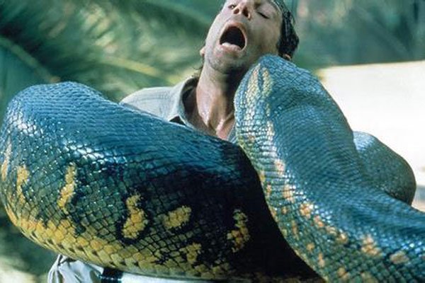 1983�����ֵ�����û�� ��ʱ���׷�����ʲô�ֲ�������