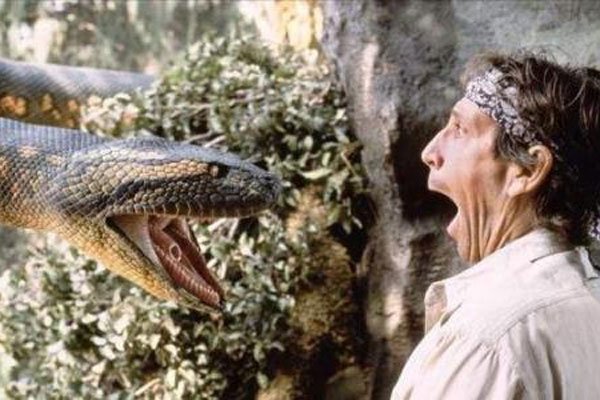 1983�����ֵ�����û�� ��ʱ���׷�����ʲô�ֲ�������