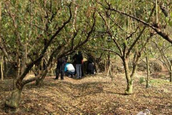 ��ʫ�ܺ͸�����ɶ���� �ջ�������ʬҰ��