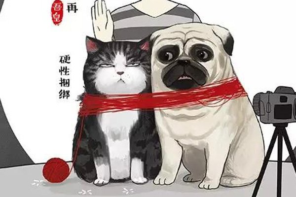 �����ڸ������� ����һ�������˻������ȹ�