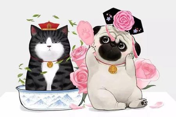 �����ڸ������� ����һ�������˻������ȹ�