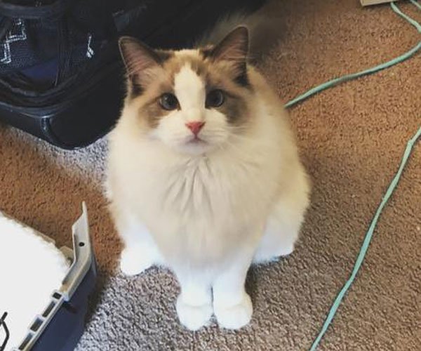 ��è�����˺ܿ��� Ů����һ��ҪԶ��������