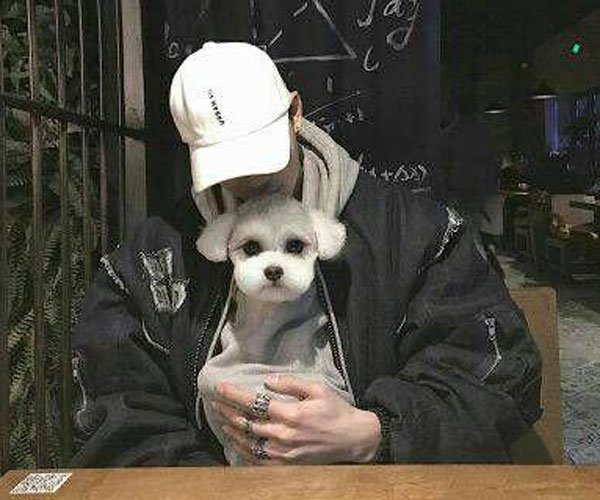 ��è�����˺ܿ��� Ů����һ��ҪԶ��������