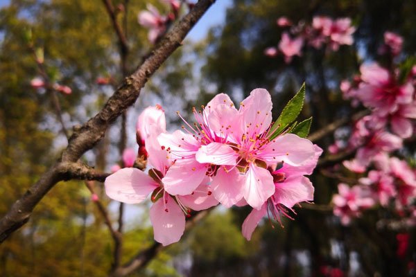 �һ���������ǰ��Ƭ������Ů ������Ϊʲô��������