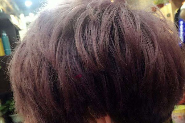 κ�������������� �������ƺ������С��춼����