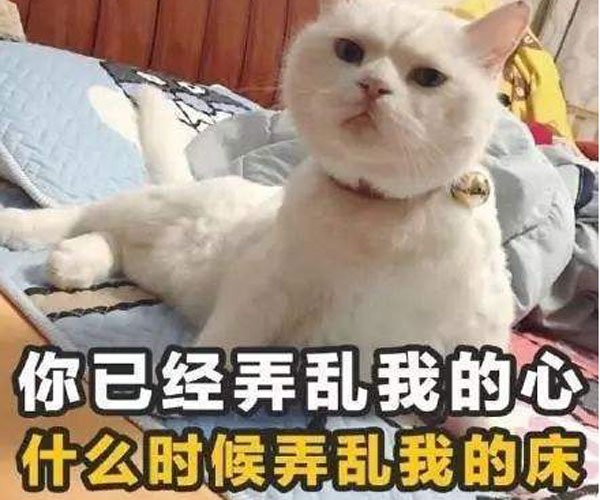 ����������· ��Ҫ��������ѧ�����ɺ����õ�