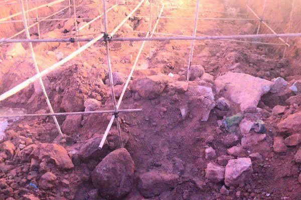 �ٳ���ʬ����ȫ��������ȥ�� ����ƽ��������ô���µ�����ô��������