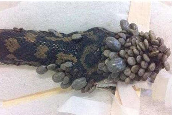 �Ҳ��̶õľ��˹���ʲô��˼ ʲô����»�������˹�