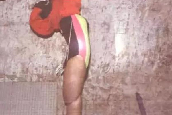 �������С�к���������ĸ�� ֤���ĳ�����ɱ�Ŀ���