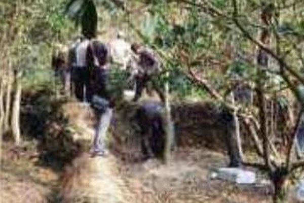 ��ʫ�ܰ�����ô�Ƶ� ����ͨ�����׷�ٵ����⳵