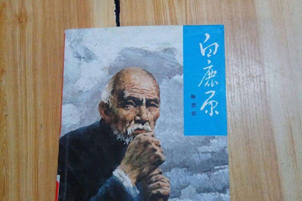 白鹿原(yuán)小说比较污原文 男女之间的阶级变化
