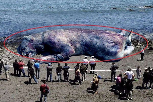 ����Ԥ������ĩ����� �����������������г���